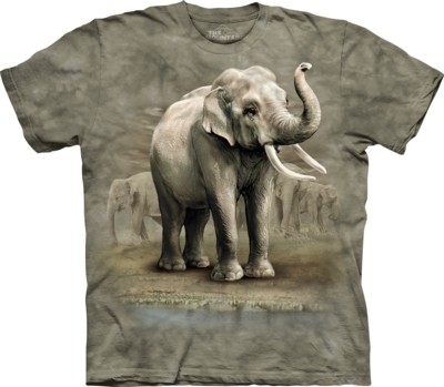Tričko - Asian Elephant